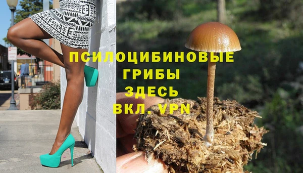 бутират Арсеньев