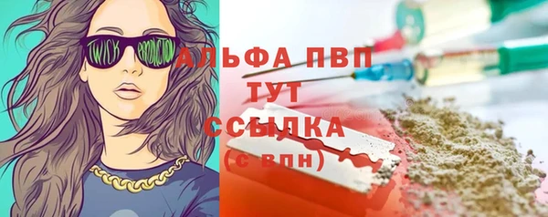 MESCALINE Аркадак