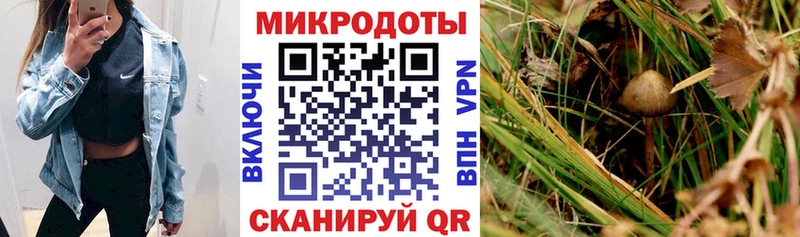 наркота  Уржум  Псилоцибиновые грибы GOLDEN TEACHER 